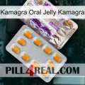 Kamagra Oral Jelly Kamagra new12